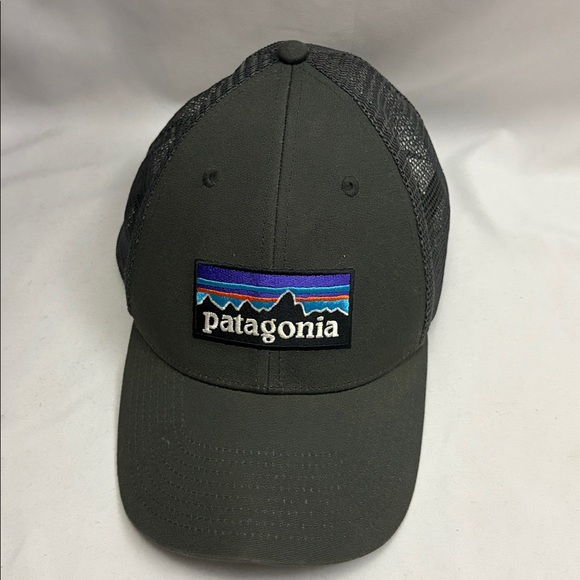 Patagonia Other - Patagonia Gray SnapBack Trucker Hat Mesh Cap Mountains